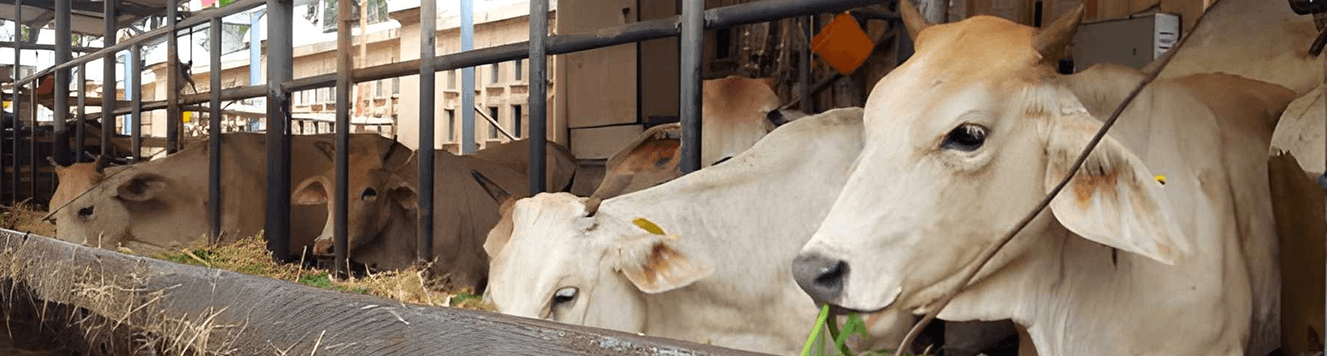 Buy And Keep Service