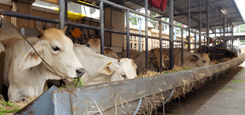 Buy And Keep Service