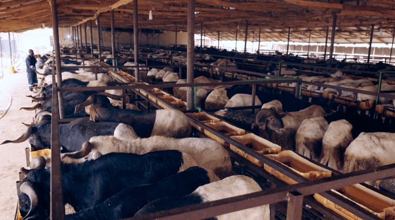 Wholesale & Retail Sales